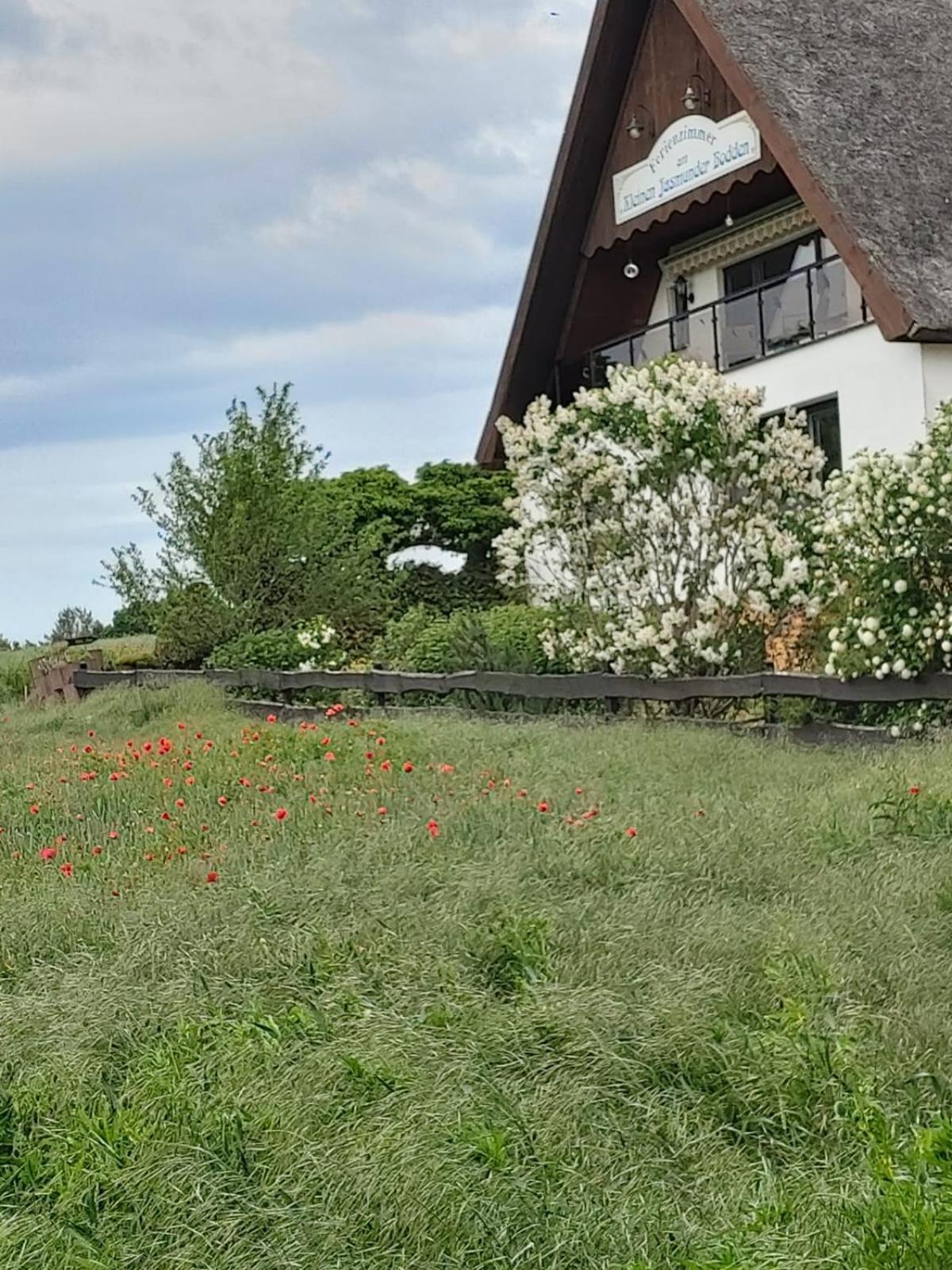 Pension Petersen Bergen Auf Rugen Room photo